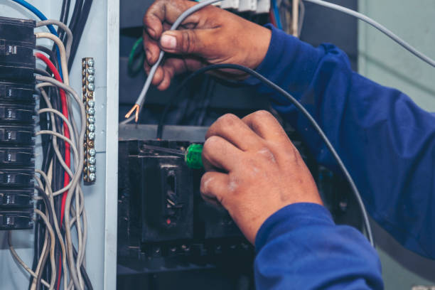 Best Electric Panel Repair  in Vley Grande, AL