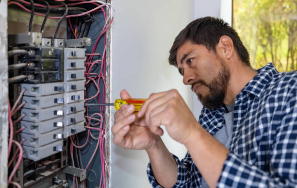 Best Home Electrical Repair  in Vley Grande, AL